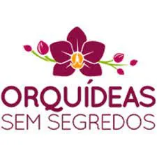 Capa de Orquídeas: Baixar Curso Completo do Professor Alberto