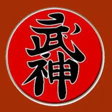 Capa de Baixar Faixa Preta Ninjutsu Ninja Curso Completo