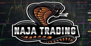 Capa de Curso Naja Trader NTG: Download Take Certo Revelado