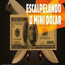 Capa de Baixar Curso Pio Trade: Domine Mini Dólar com 4 Estratégias