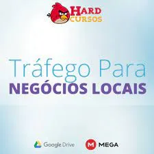 Capa de Baixar Curso Tráfego para Negócios Locais Fábio Bindes – Completo