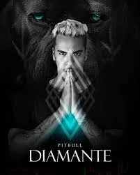 Capa de CURSO Pitbull Diamante 2 Tom Freire: Baixar Agora Completo