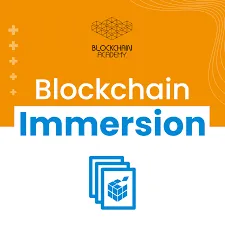 Capa de Download Blockchain Immersion: Domine a Tecnologia Blockchain