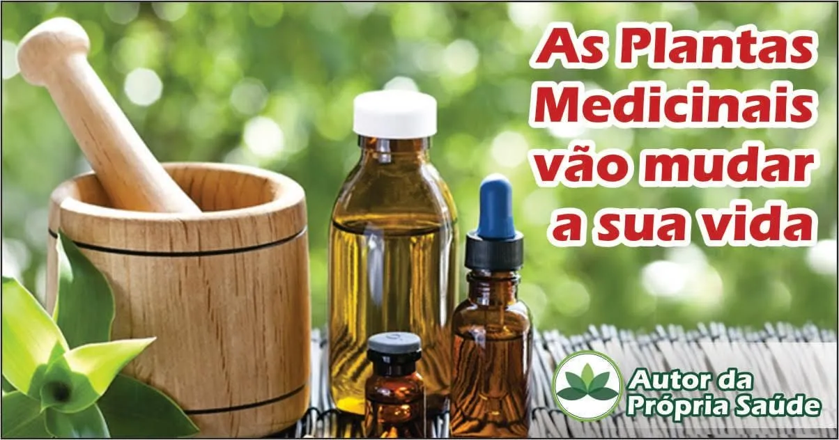 Capa de Curso Fitoterapia Daniel Forjaz: Baixar Completo 2020