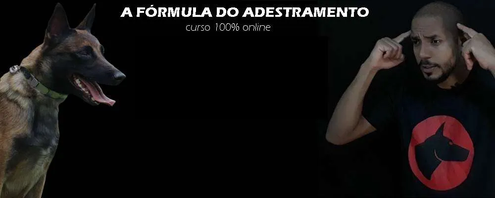 Capa de Baixar Fórmula Adestramento 2.0 Dionatas Piloto [Completo]