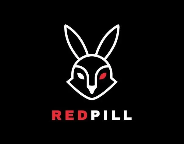 Capa de A Fraternidade Redpill: Baixar Curso Completo | 202*