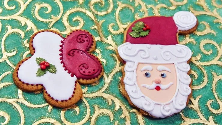Capa de Baixar Curso Bolachas Decoradas de Natal Vanir Petter – 2019