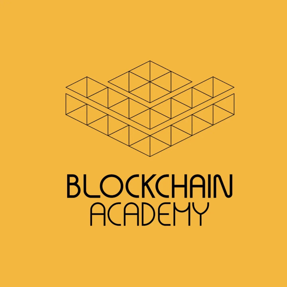 Capa de Blockchain Immersion: Baixar Curso Completo da Blockchain Academy