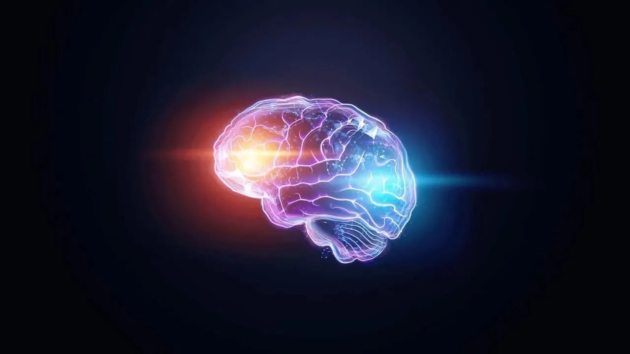 Capa de Baixe Data Science na Prática Sigmoidal | Curso Completo