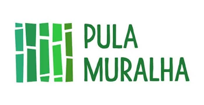 Capa de Curso Chinês Pula Muralha Si Liao: Download Completo em PT-BR
