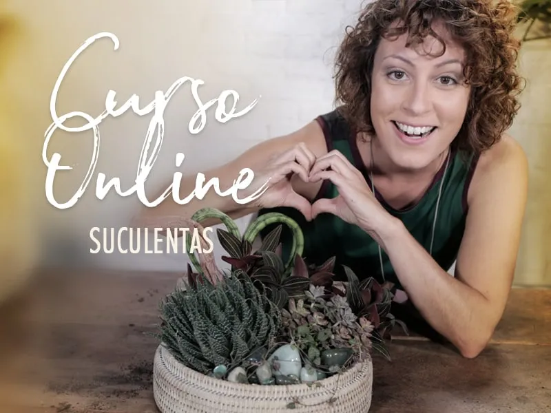 Capa de Curso Carol Costa Minhas Plantas: Download Essencial