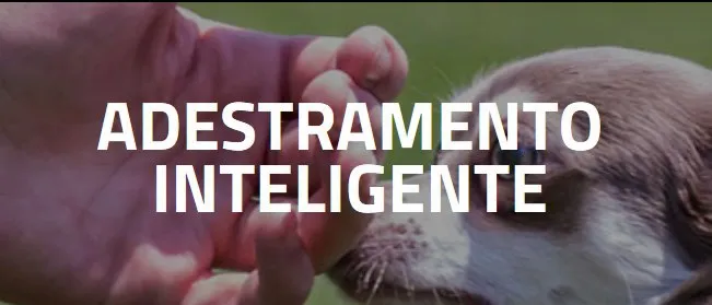 Capa de Adestramento Inteligente – Alexandre Rossi: Baixar Curso Completo!