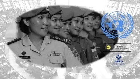 Capa de Baixar Curso Segurança Internacional ONU e Ucrânia | Coronel Vieira PDF