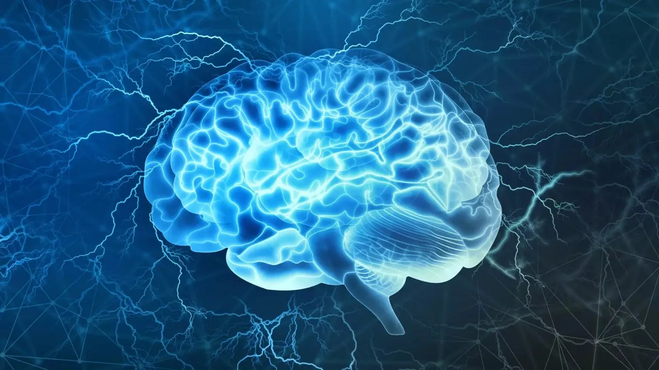 Capa de Neurociência e Comportamento (Eslen Delanogare): Download Rápido