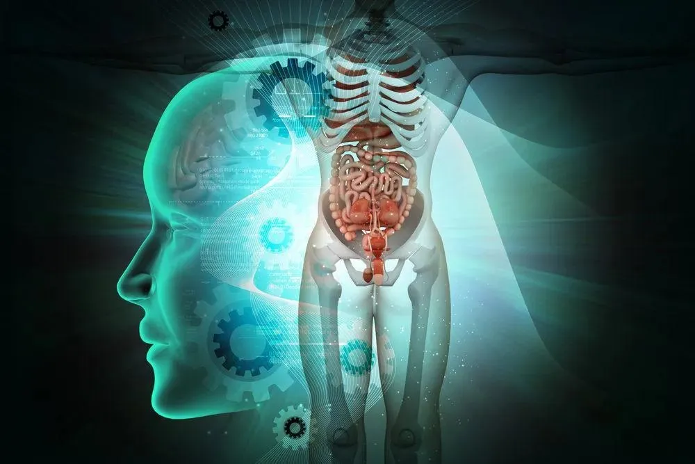 Capa de Anatomia dos Órgãos e Sistemas Download Completo (15h+)