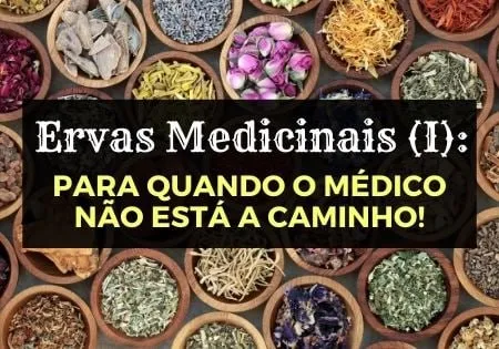 Capa de Baixar Curso Ervas Medicinais (I) com Afonso Lopes – Defesa Natural