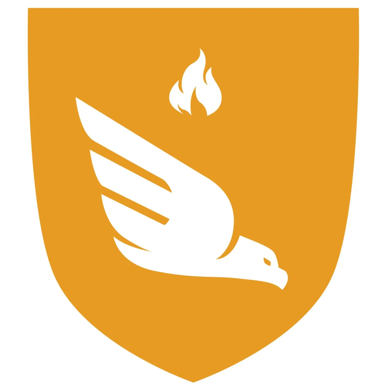 Capa de Projeto Animus Rafael Falcon Download: Dominando a Arte de Viver Bem
